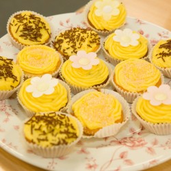 BSF Yellow Day 002