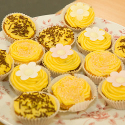 BSF Yellow Day 003