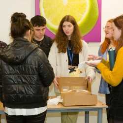 BSF Yellow Day 025