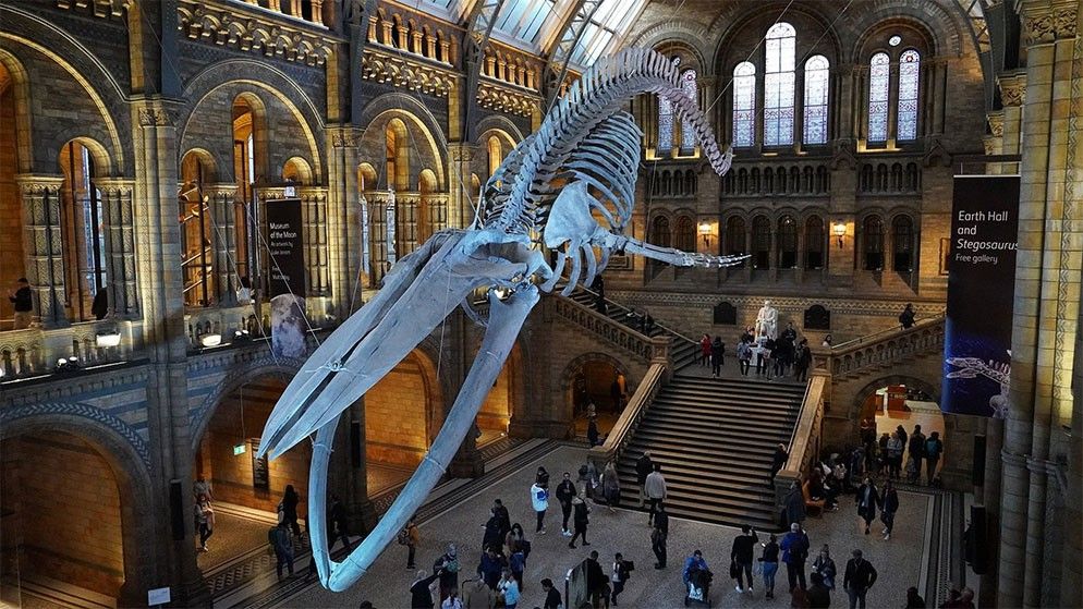 Year 12 Art Trip